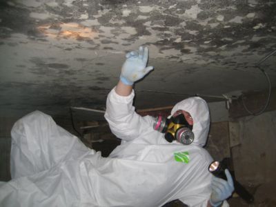 Portsmouth, VA Mold Removal - HERO MOLD REMOVAL